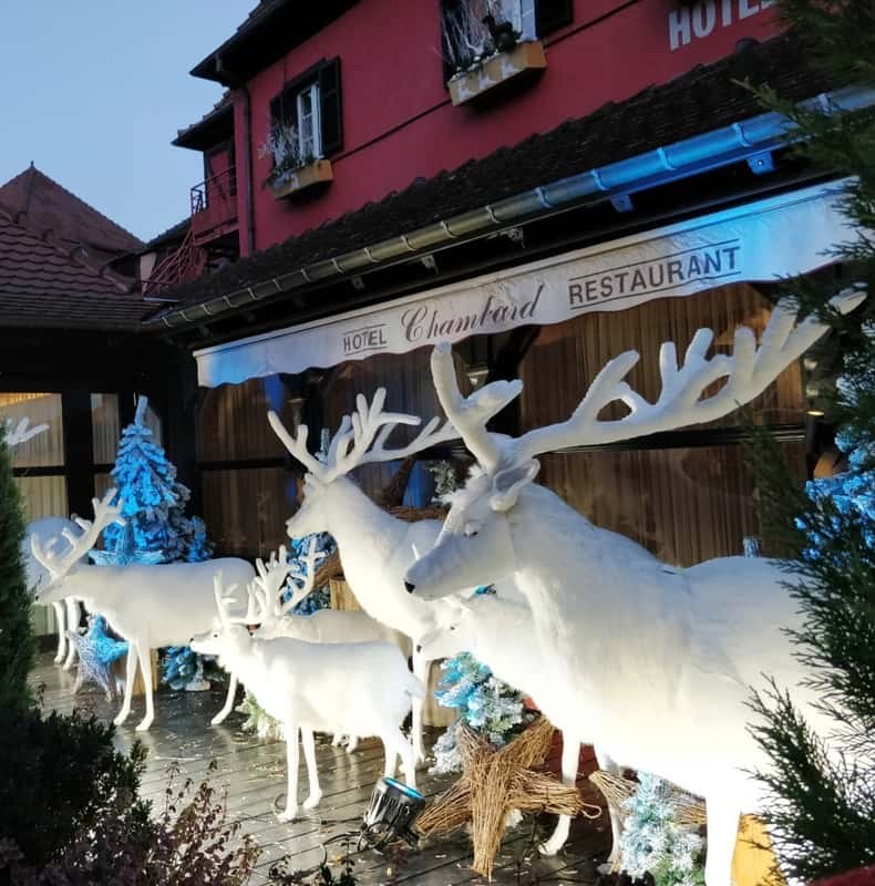From Colmar: Christmas Markets Across 3 Borders